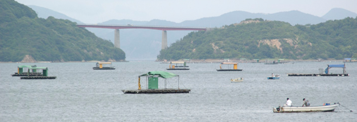 渦潮海峡に育まれる逸品の”鳴門鯛”、その至宝の味にふさわしき南海のしずく酒。